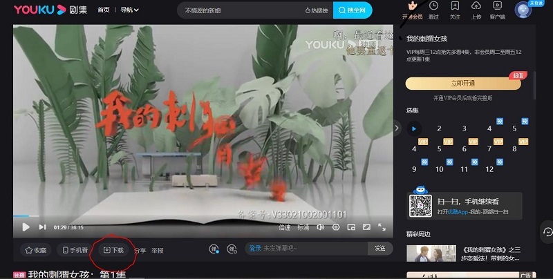 Tải video Youku về máy